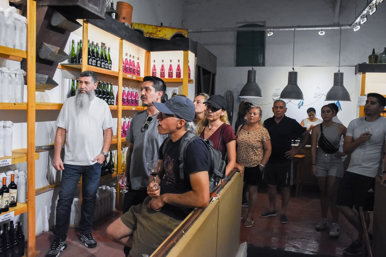 Turismo enológico. De diferentes paises llegan turistas a la provincia de Mendoza, una de las principales actividades es la visita a bodegas donde ademas de degustar diferentes variedades pueden realizar recorridos por los viñedos de las mismas, tambien alguna ofrecen un menú para almorzar. 

Foto: Mariana Villa / Los Andes