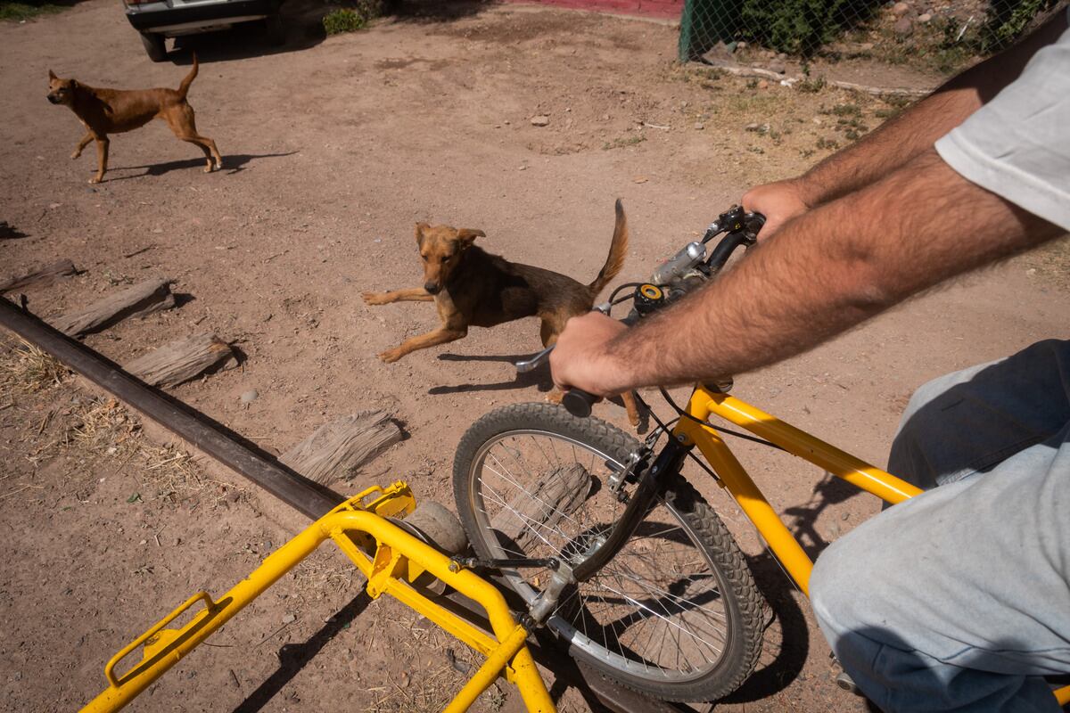 Foto: Ignacio Blanco / Los Andes