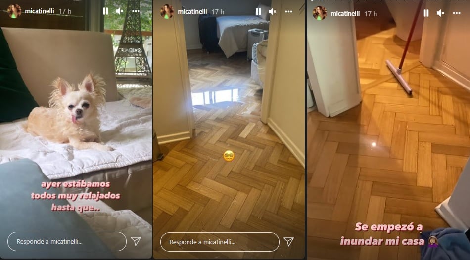 El malestar de Mica Tinelli después de que se le inundara su casa