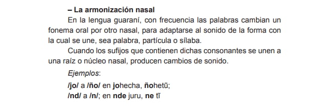 El cartel de Unión por la Patria en guaraní no dice “apestoso”, es una mala traducción.