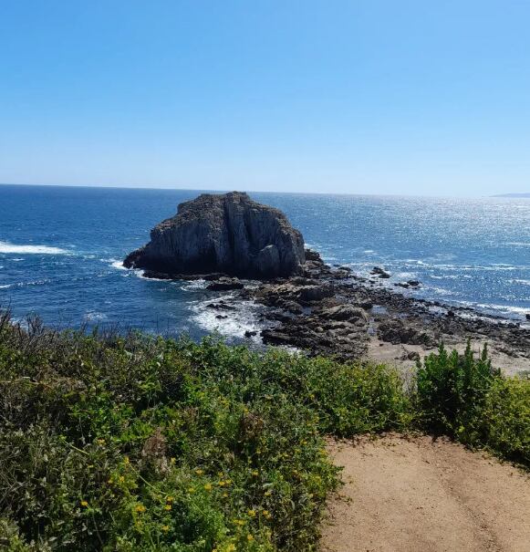 Canelo y Canelillo, la bahía chilena ubicada a 90 minutos de Reñaca con bosques y aguas cristalinas. Foto: Instagram @ecoturismo.algarrobo