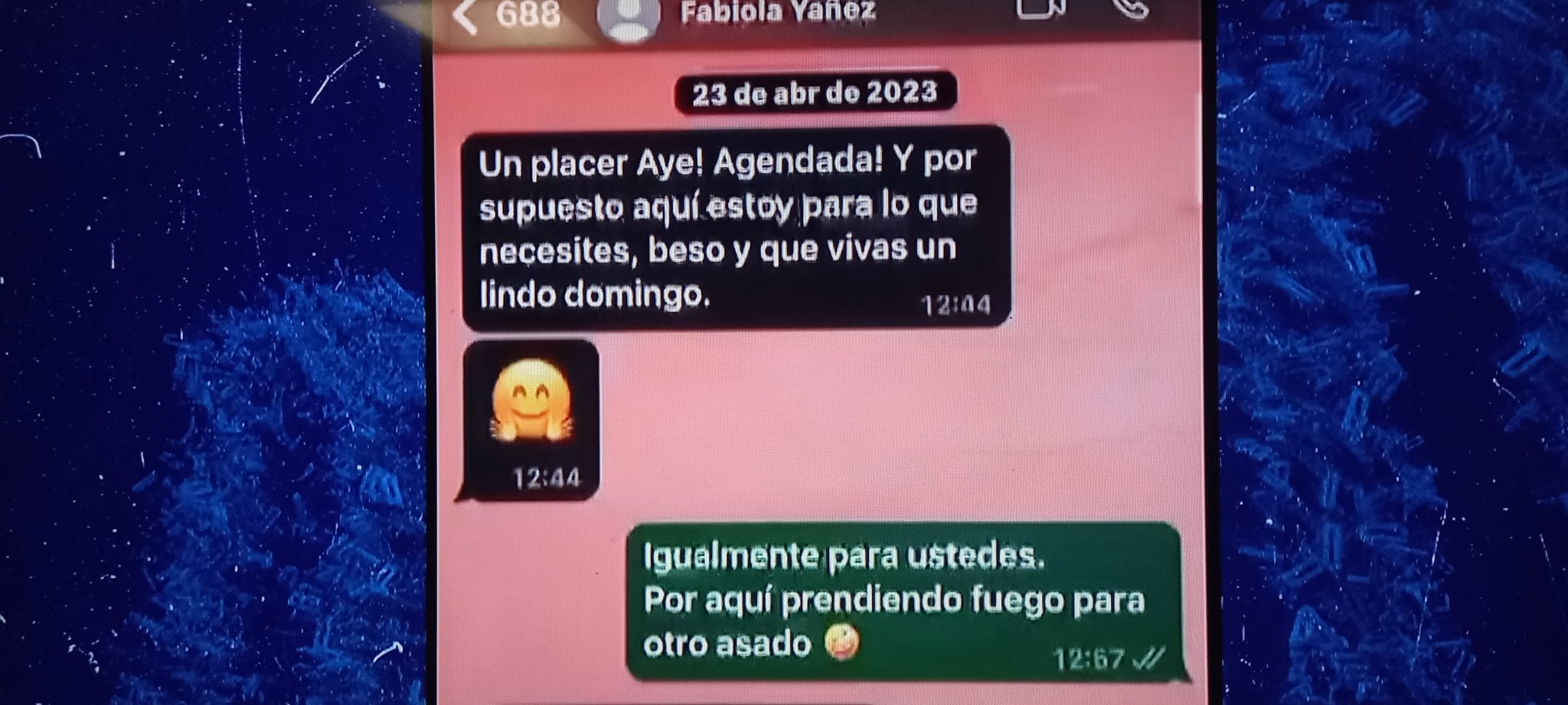 Mazzina sumó a su declaración chats con Fabiola Yañez que desmienten el pedido de ayuda. Captura: NA