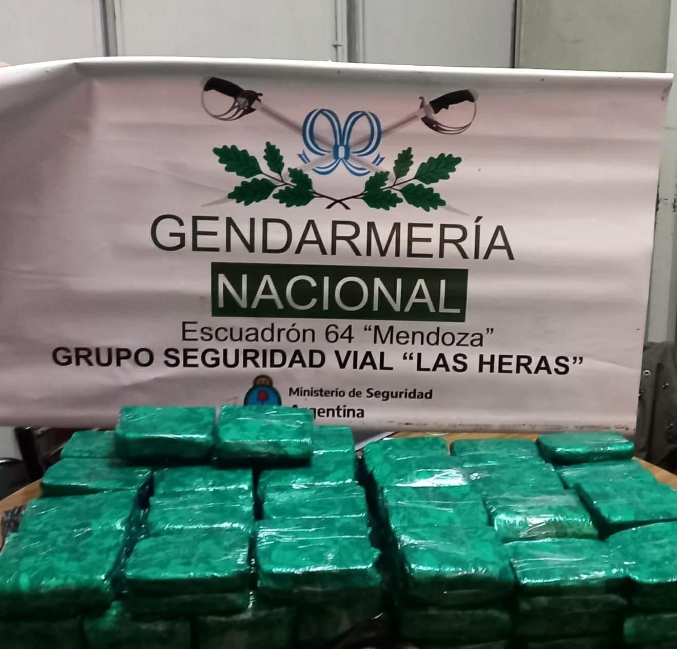 Los hojas de coca decomisadas ayer en Mendoza. Gentileza Gendarmería Nacional.