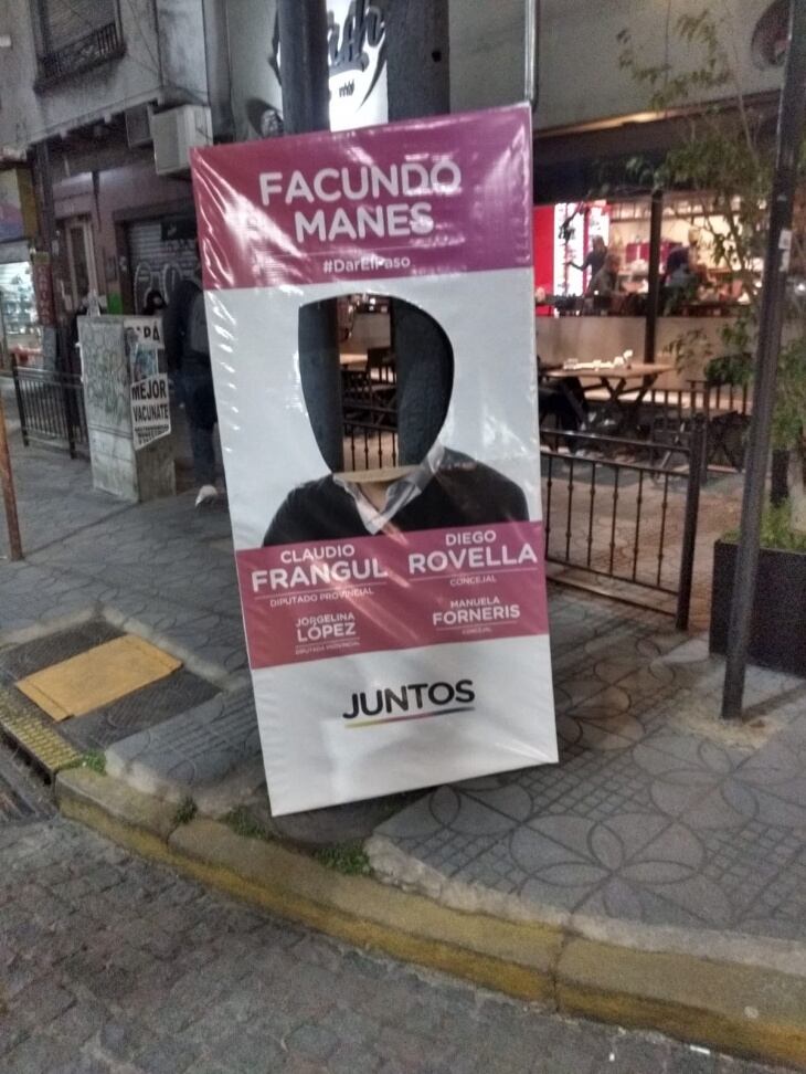 Carteles Facundo Manes