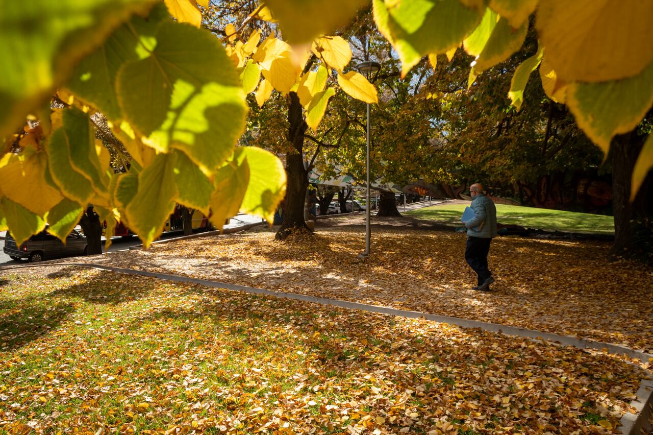 El otoño termina con el veranito de San Juan. / Los Andes 