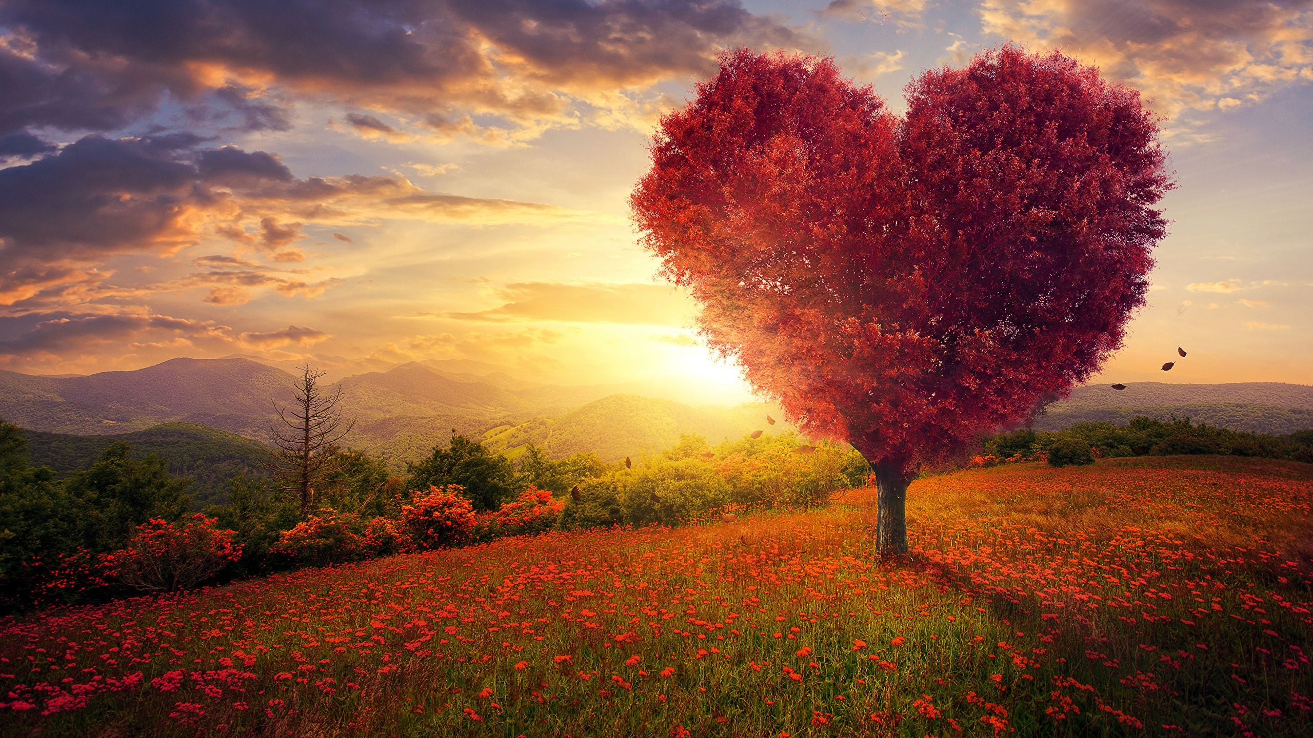 Cuáles son los signos del zodíaco que tienen mayor amor por la naturaleza.