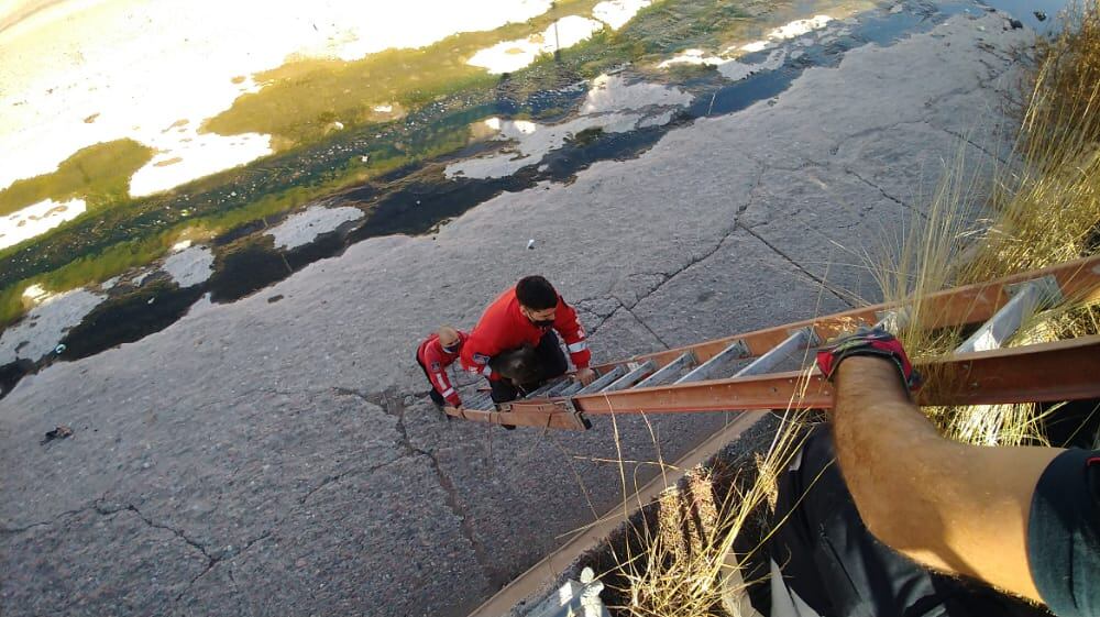 Miembros del Cuartel Central de Ciudad se hicieron presente en el Cacique Guaymallén para rescatar a un perrito callejeros.