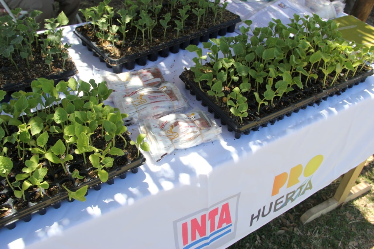 La exposición rural del INTA se realiza en calle El Vivero s/n, de Rama Caída, San Rafael. Imagen: gentileza