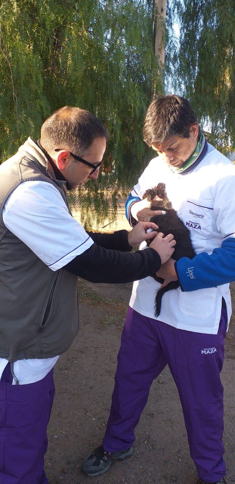 Contagio de enfermedades y predación: por qué no se permite el ingreso de mascotas a las áreas naturales. Foto: Gentileza Juan Pablo Coniglione