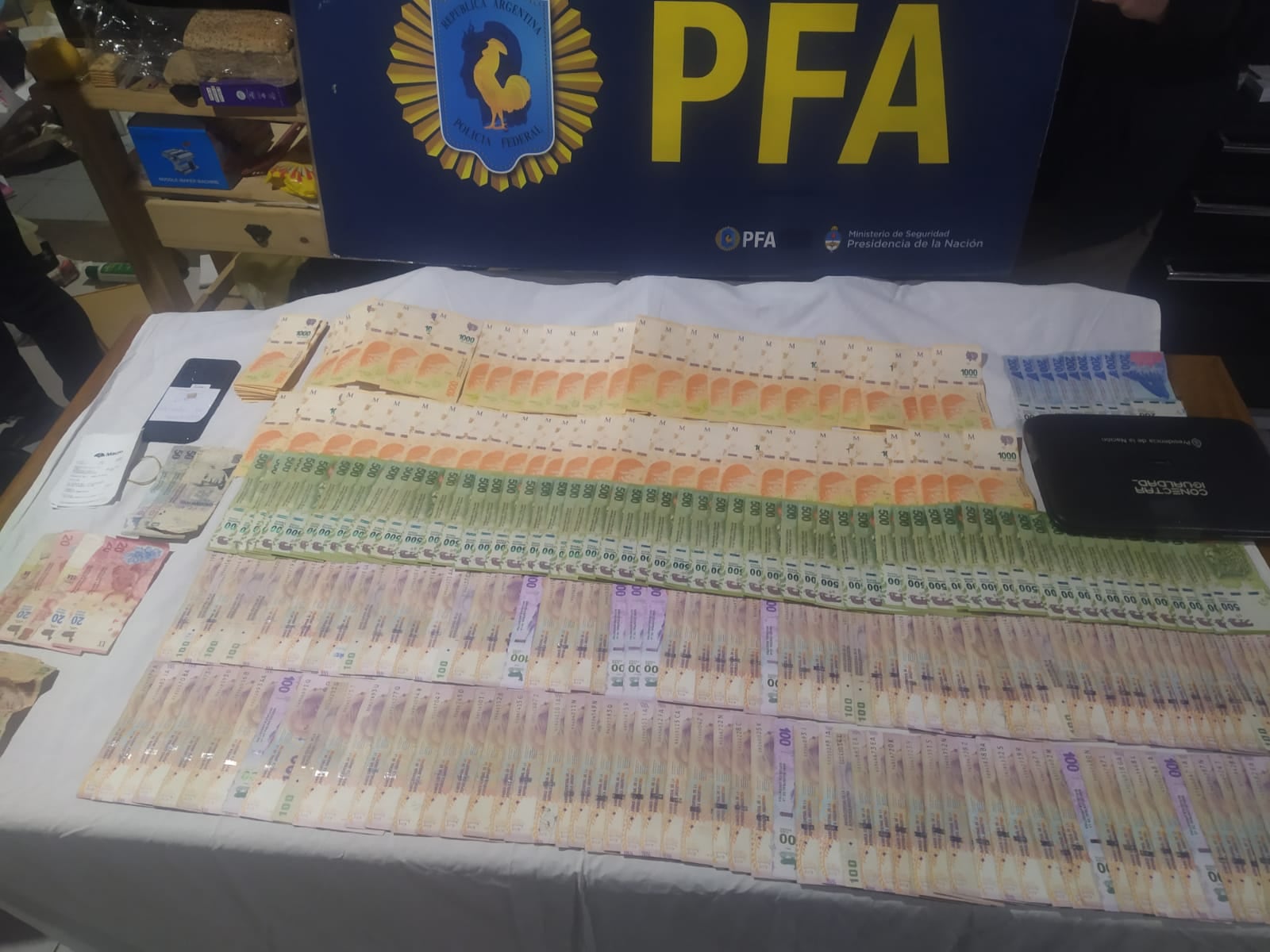 Investigan red de estafadores que tramitaba pensiones por invalidez falsas en San Rafael. Foto: Policía Federal Argentina