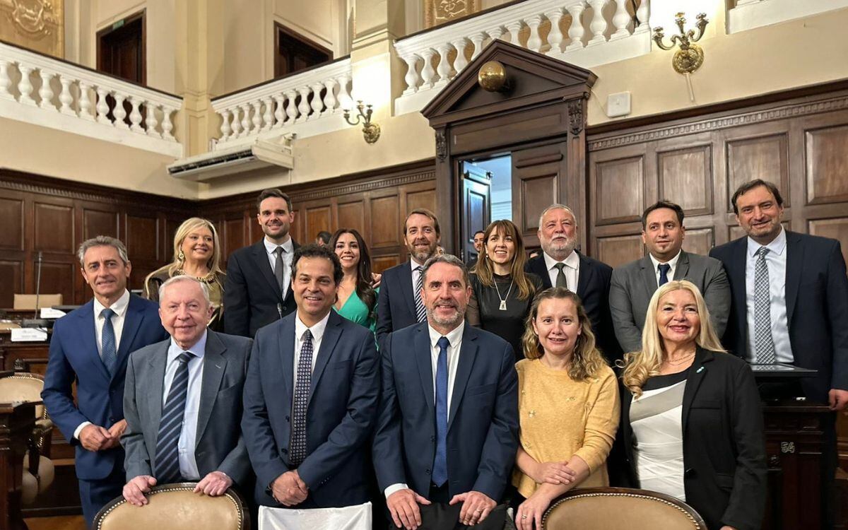 Diputados y senadores de La Unión Mendocina. Foto: X @omardemarchi