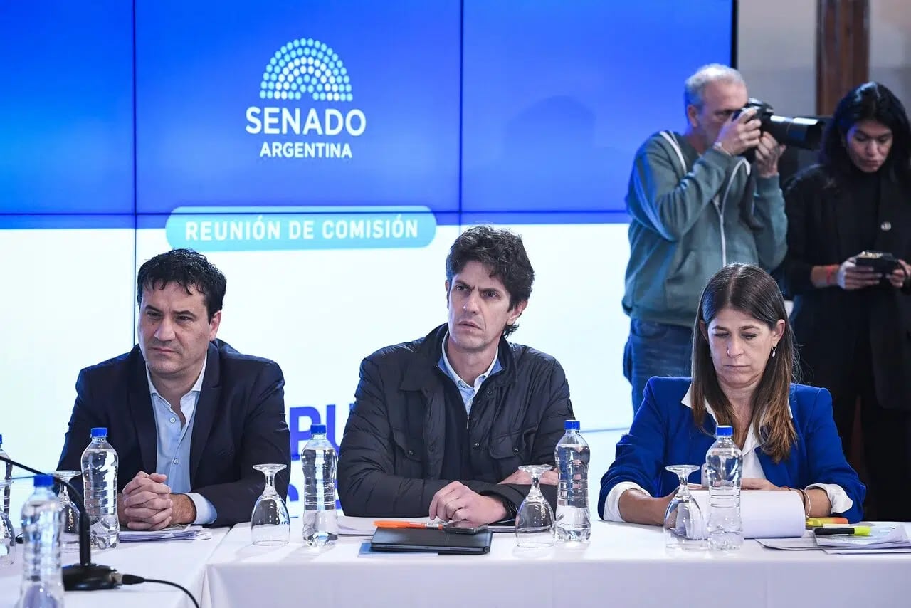 Martín Lousteau junto a miembros de la UCR. Gentileza: El Intransigente.