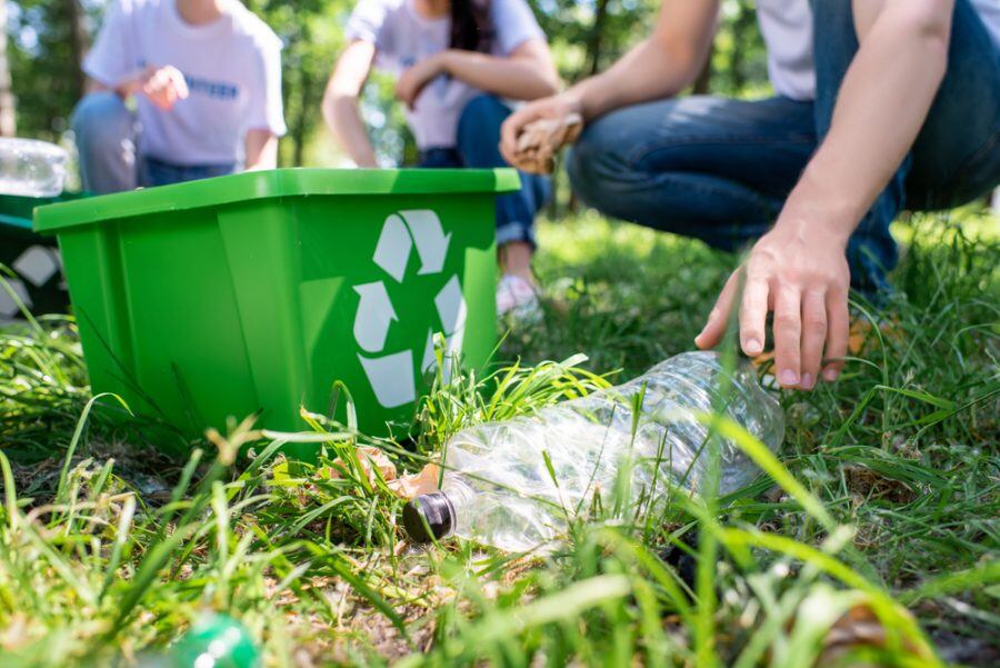 Este 5 de junio se conmemora el Día Mundial del Medio Ambiente.