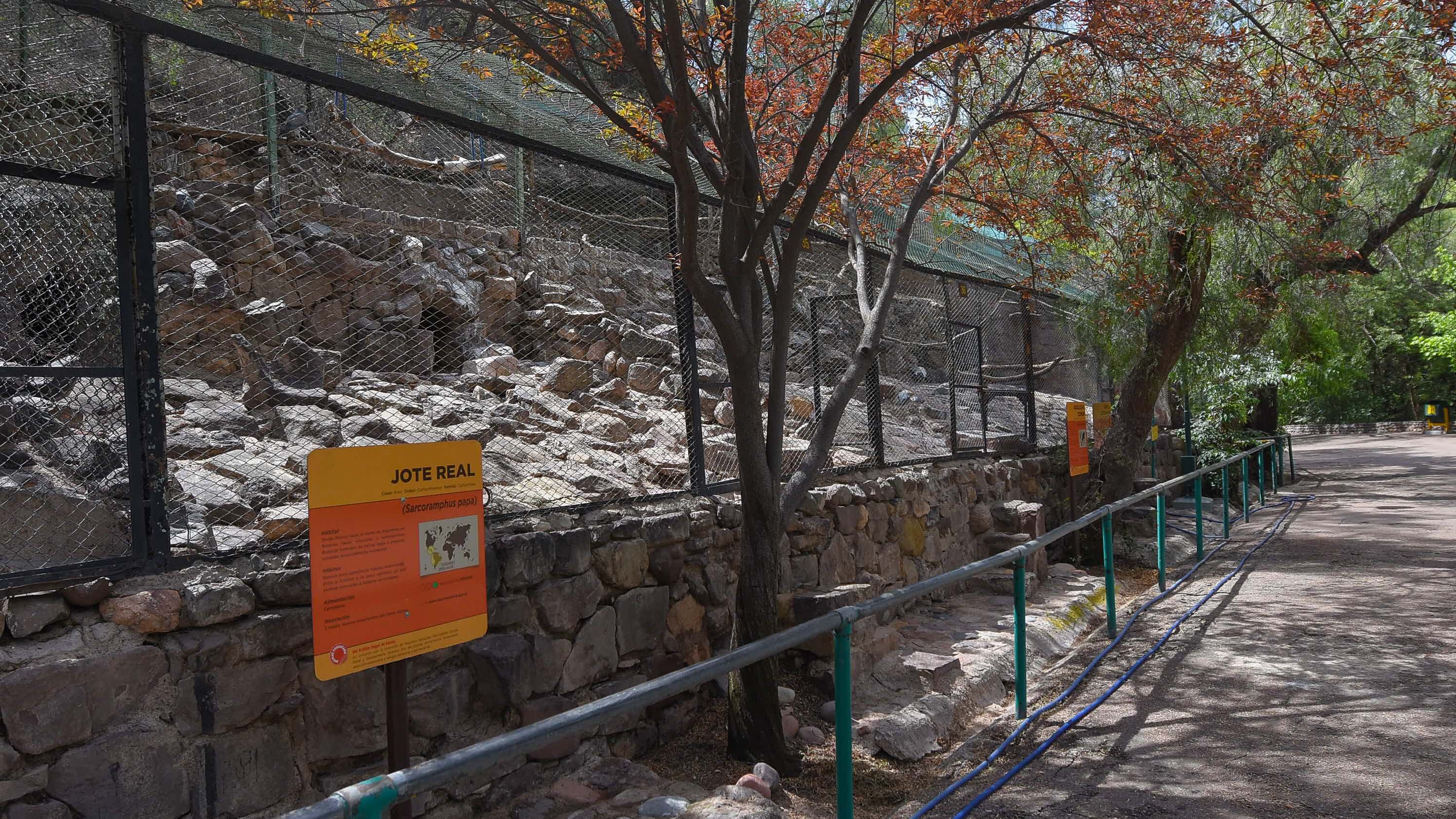 Ecoparque de Mendoza
Mientras se esperan las obras en el actual Ecoparque algunos animales continuan en el ex zoo de Mendoza  Foto: Claudio Gutiérrez 
