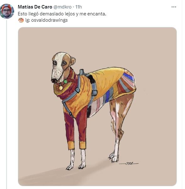 Furor pot el galgo de manga larga. Twitter @mdkro