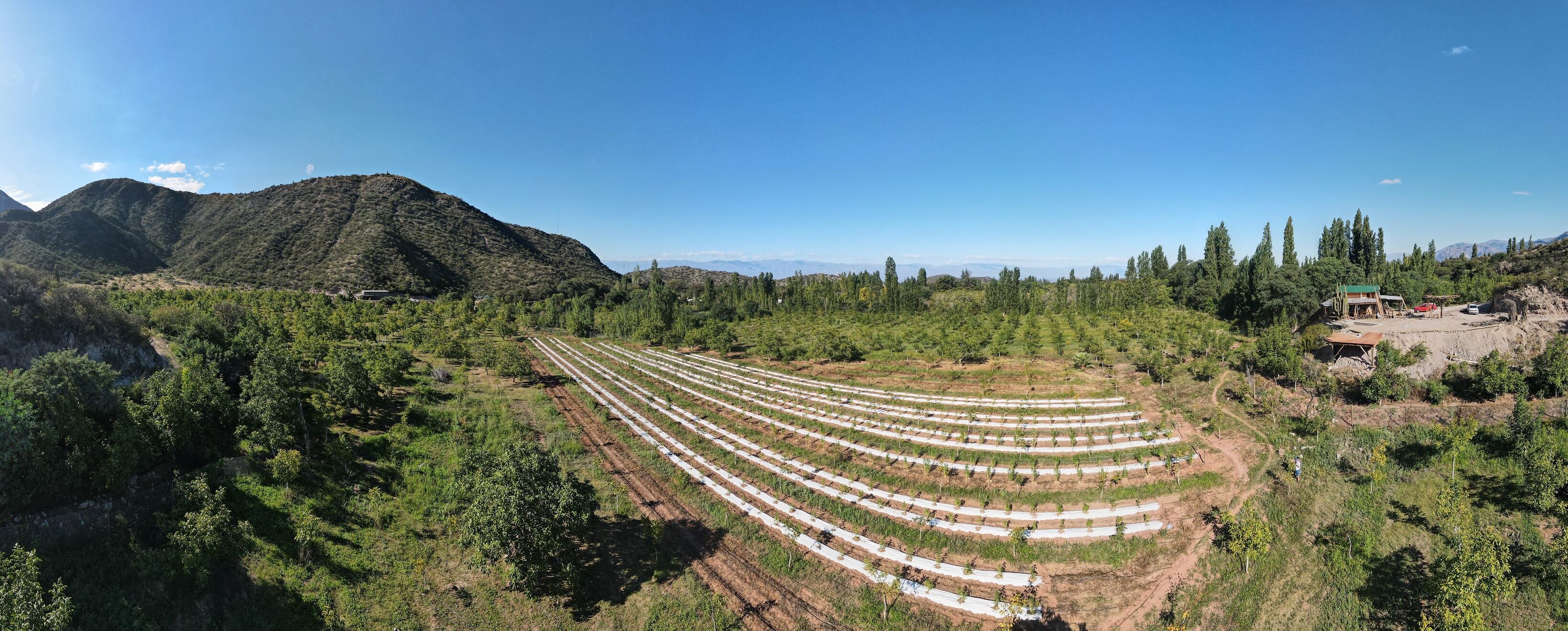 El predio está ubicado en Chilecito, La Rioja. - Gentileza