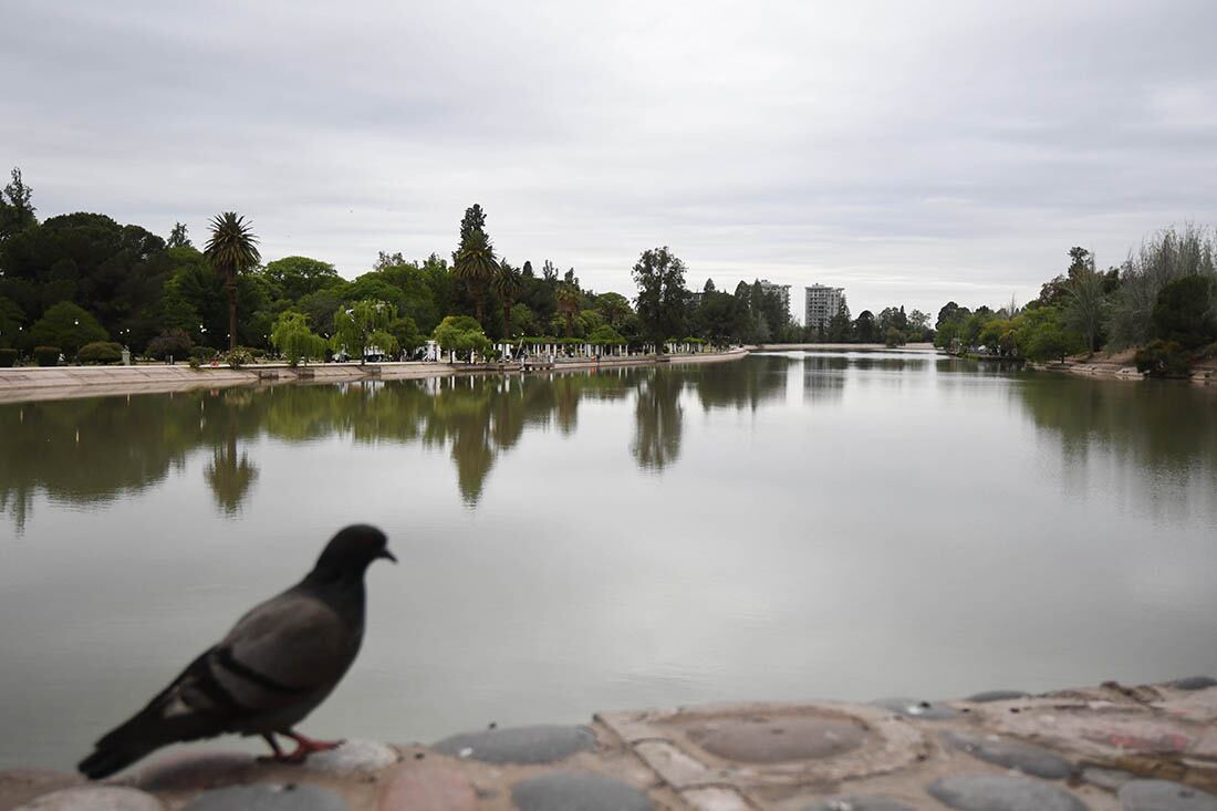 El parque General San Martín de Ciudad, se prepara para el 125° aniversario de su creación.
Lago del Parque.
Foto: José Gutierrez