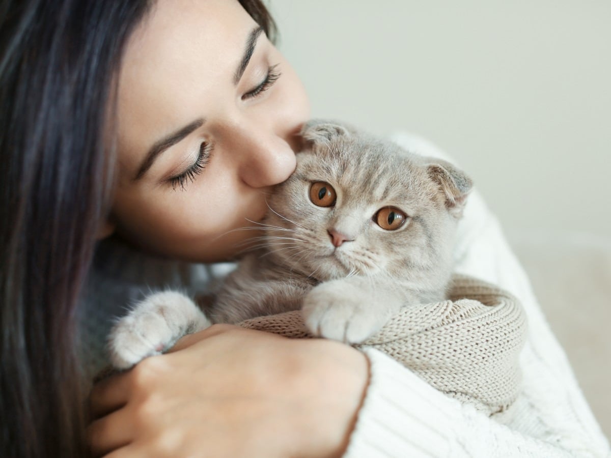 La relación del gato con su dueño, todas las claves