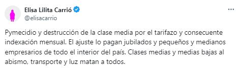 Las críticas de Carrió hacia el Gobierno Nacional. Gentileza: Captura x @elisacarrio