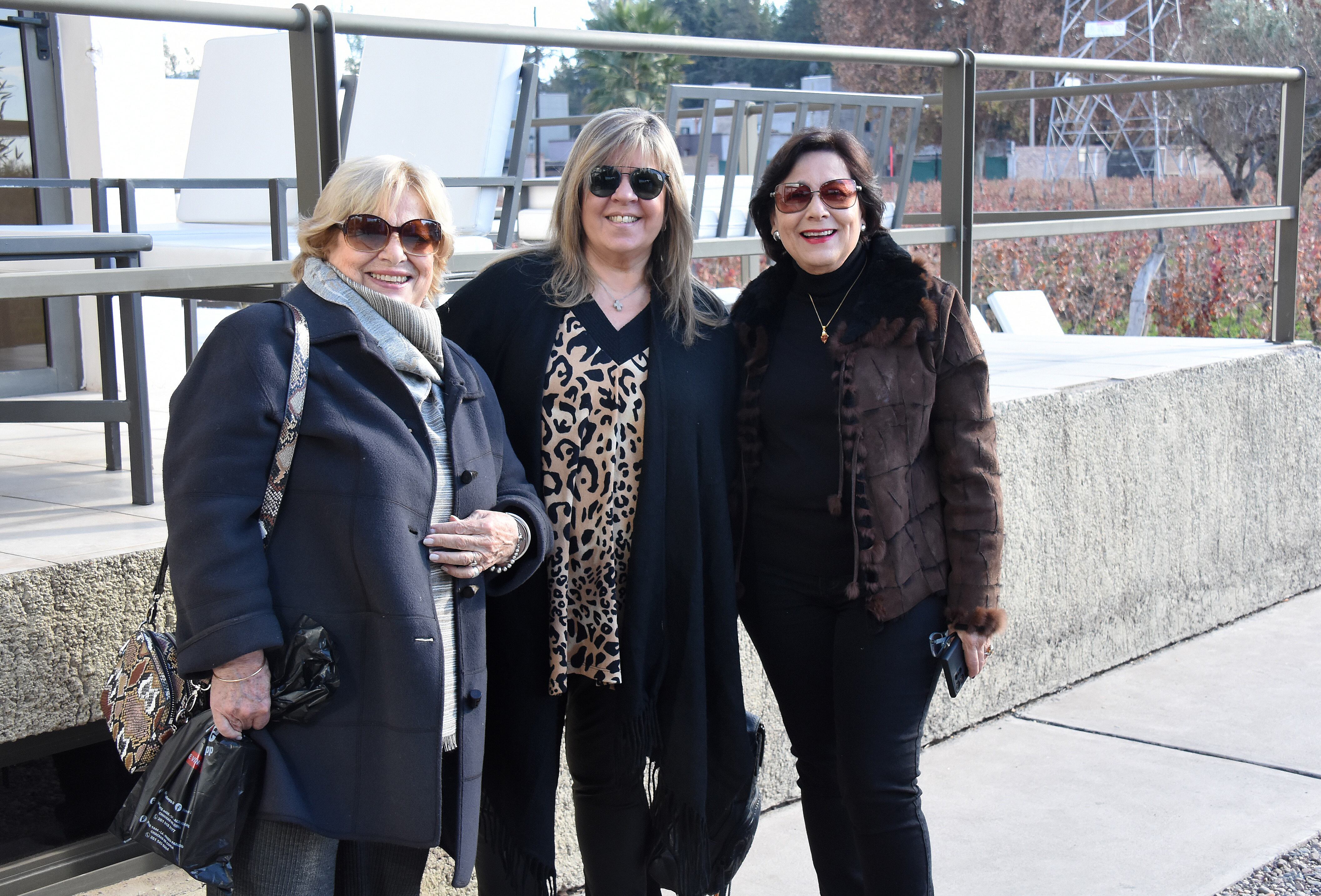 Graciela Santamaría, Silvia Cervós y Cristina Pandolfi.