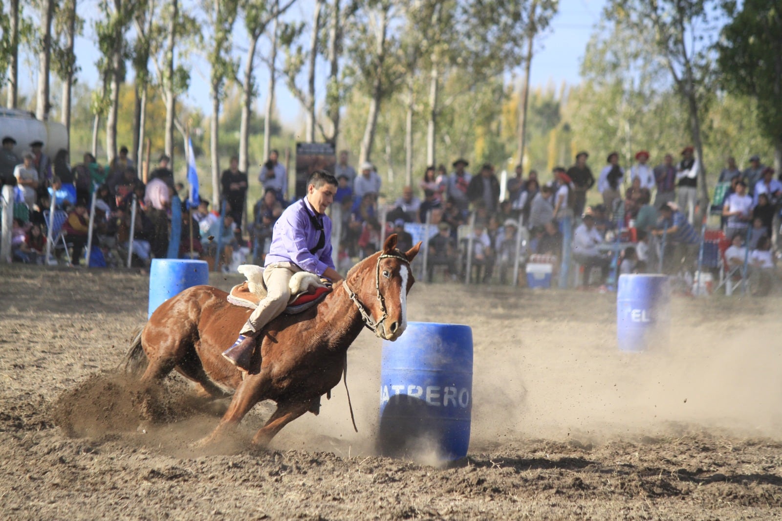 Festival de destrezas criollas en la Fiesta de la Ganadería en Alvear.