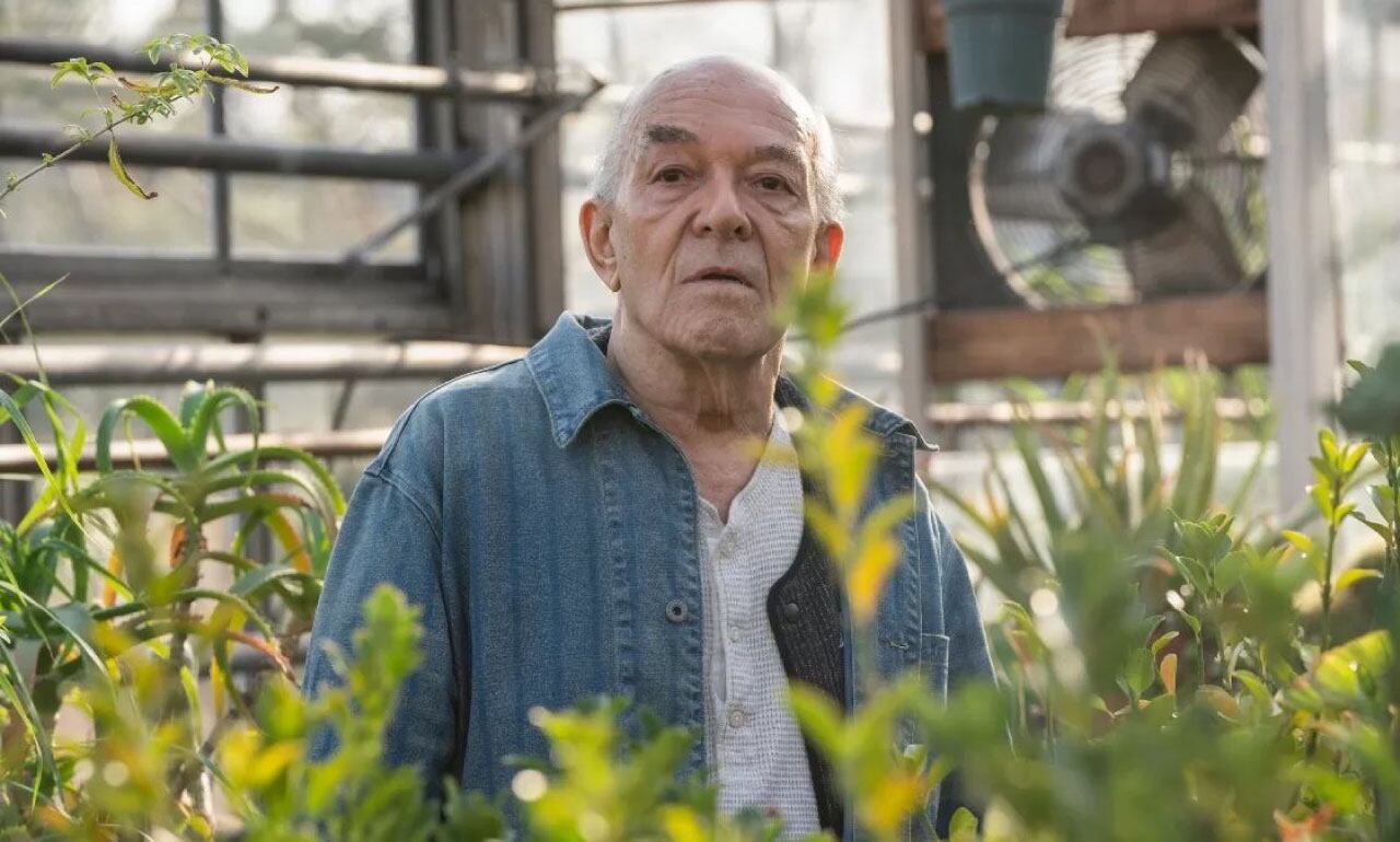 Murió a los 83 años Mark Margolis.