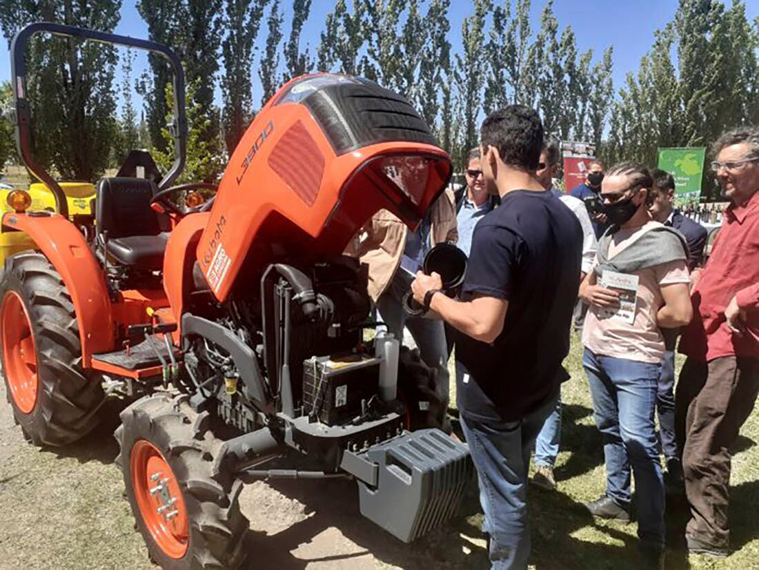 El Senasa restringió la utilización de algunos hormiguicidas por el daño colateral que provocaban en el medio ambiente. Los productores buscan formas alternativas para controlar las plagas.