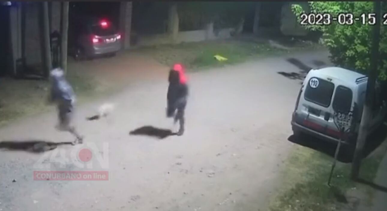 El perrito sacó corriendo a los delincuentes. Foto Captura: 24CON