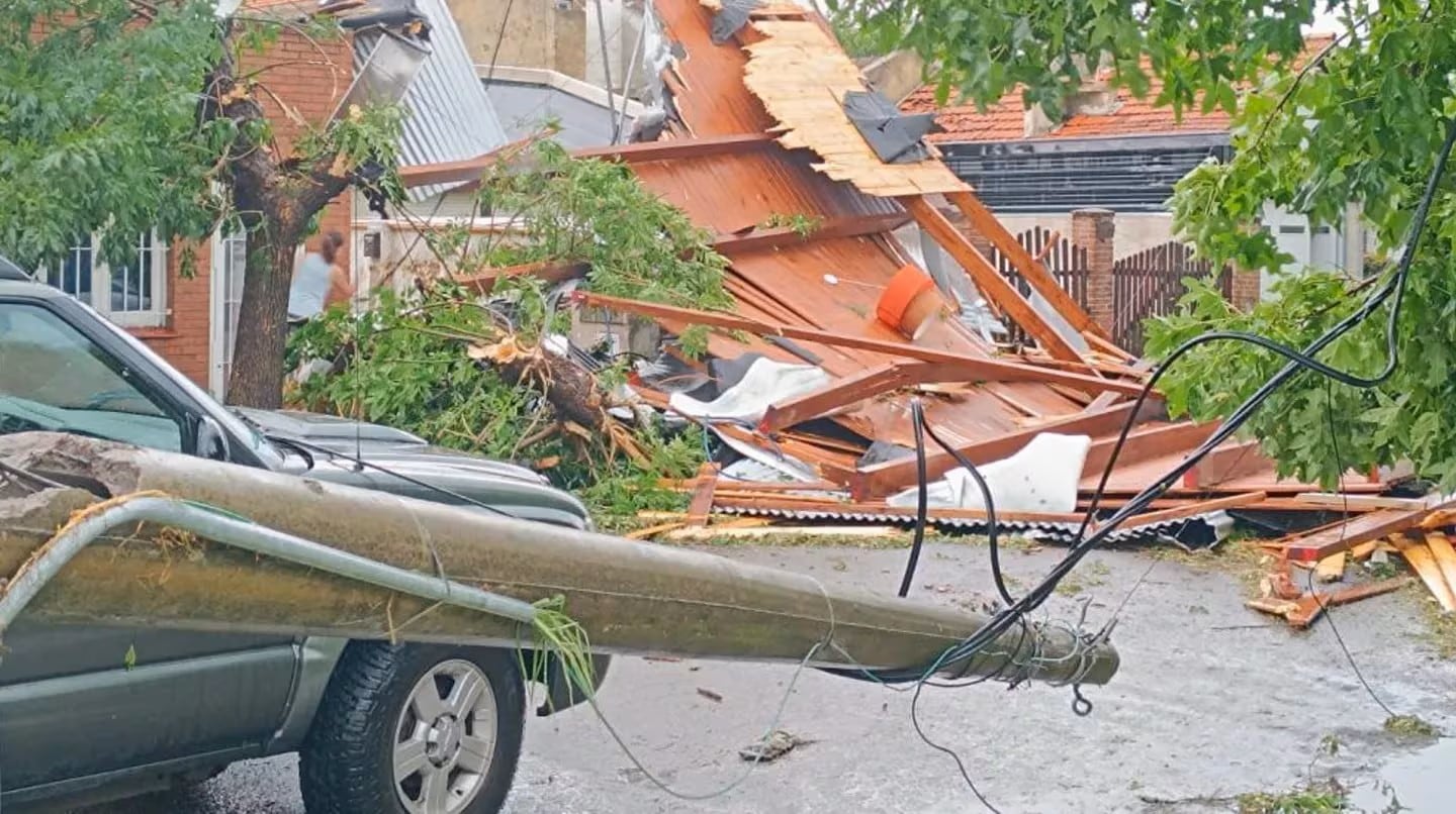 El joven murió luego de que un árbol cayera sobre él. Foto: TN.