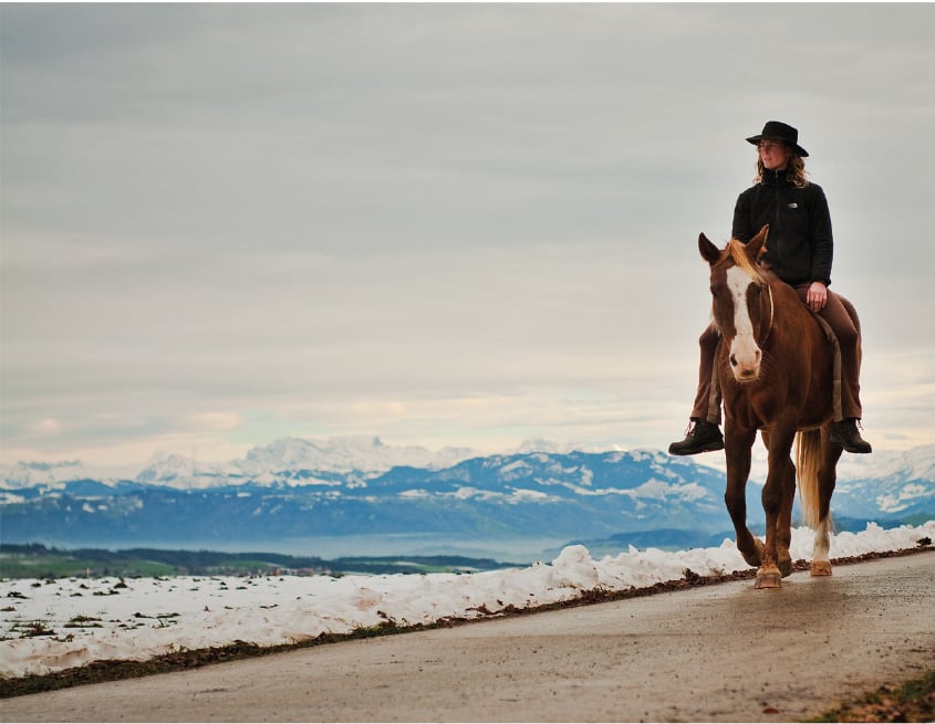 Tapa del libro "Alma de caballo".