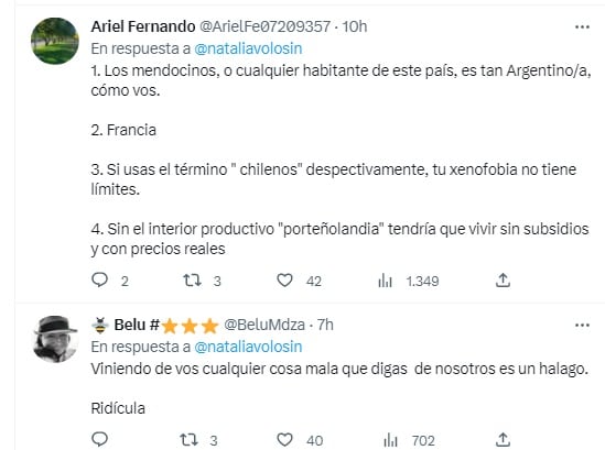 Críticas a la periodista Natalia Volosin por su tuit contra mendocinos (Twitter)