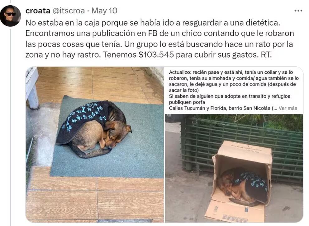 Una usuaria de X inició una campaña solidaria y la historia de Chucho tuvo un final feliz - X