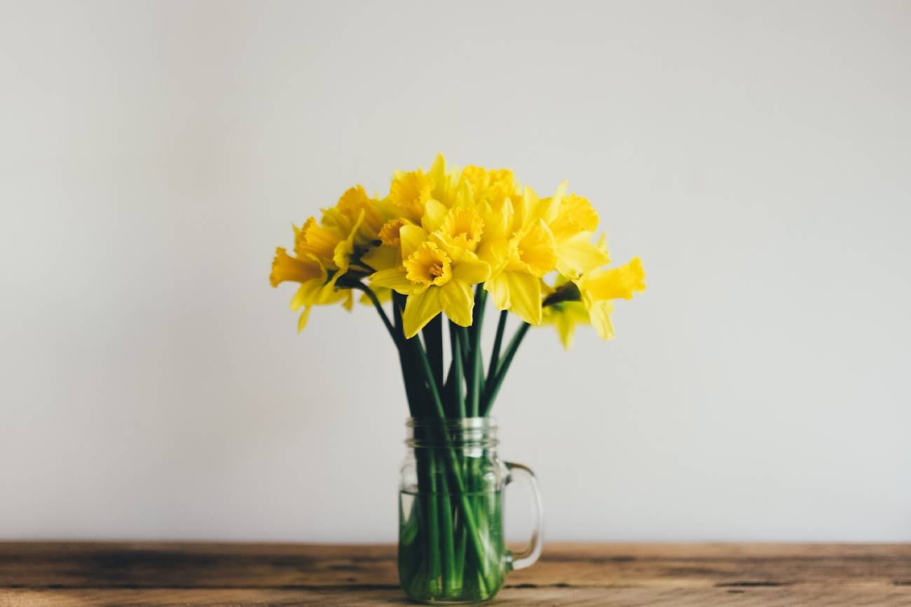 Cuál es el significado de regalar flores amarillas. (Unspash)