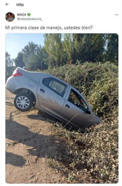 Chocó en su primera clase de manejo, cayó a una zanja, lo subió a Twitter y se viralizó.