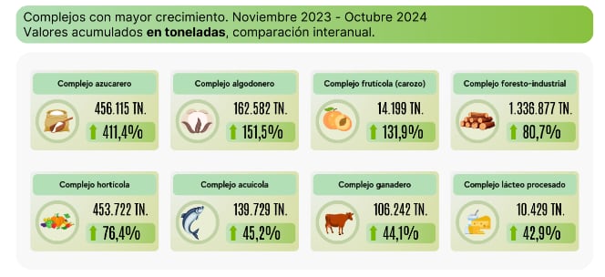 Exportaciones de las economías regionales en toneladas. Fuente: CAME