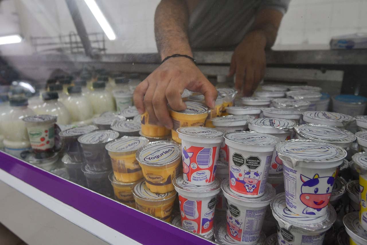 Para ahorrar, la gente elige los tambos y marcas mendocinas  para comprar  lácteos, quesos y demás derivados de la leche. 
Foto: José Gutierrez / Los Andes