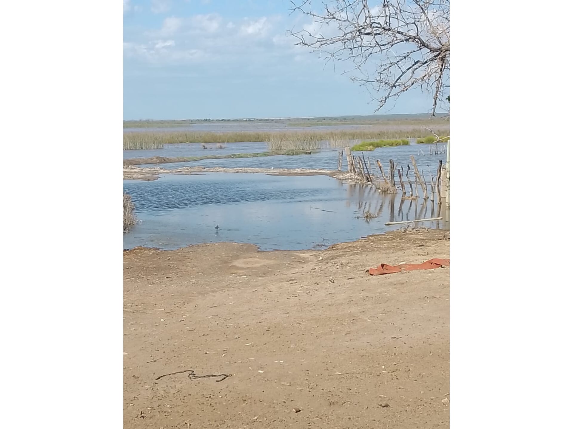 Crecida Río Tunuyán