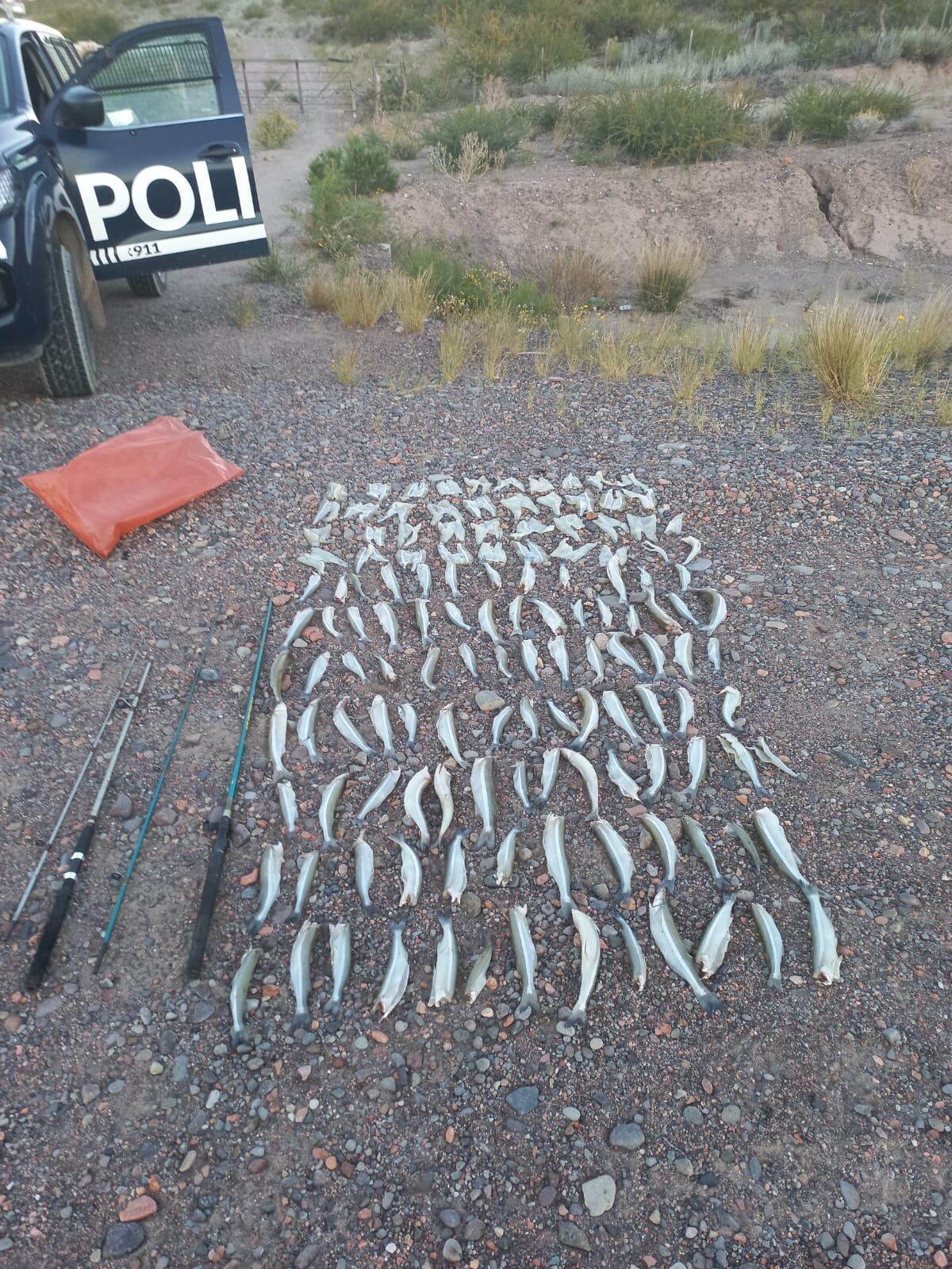 Detuvieron a un sanjuanino por pesca ilegal. Foto: Delegación de Policía Rural Valle de Uco