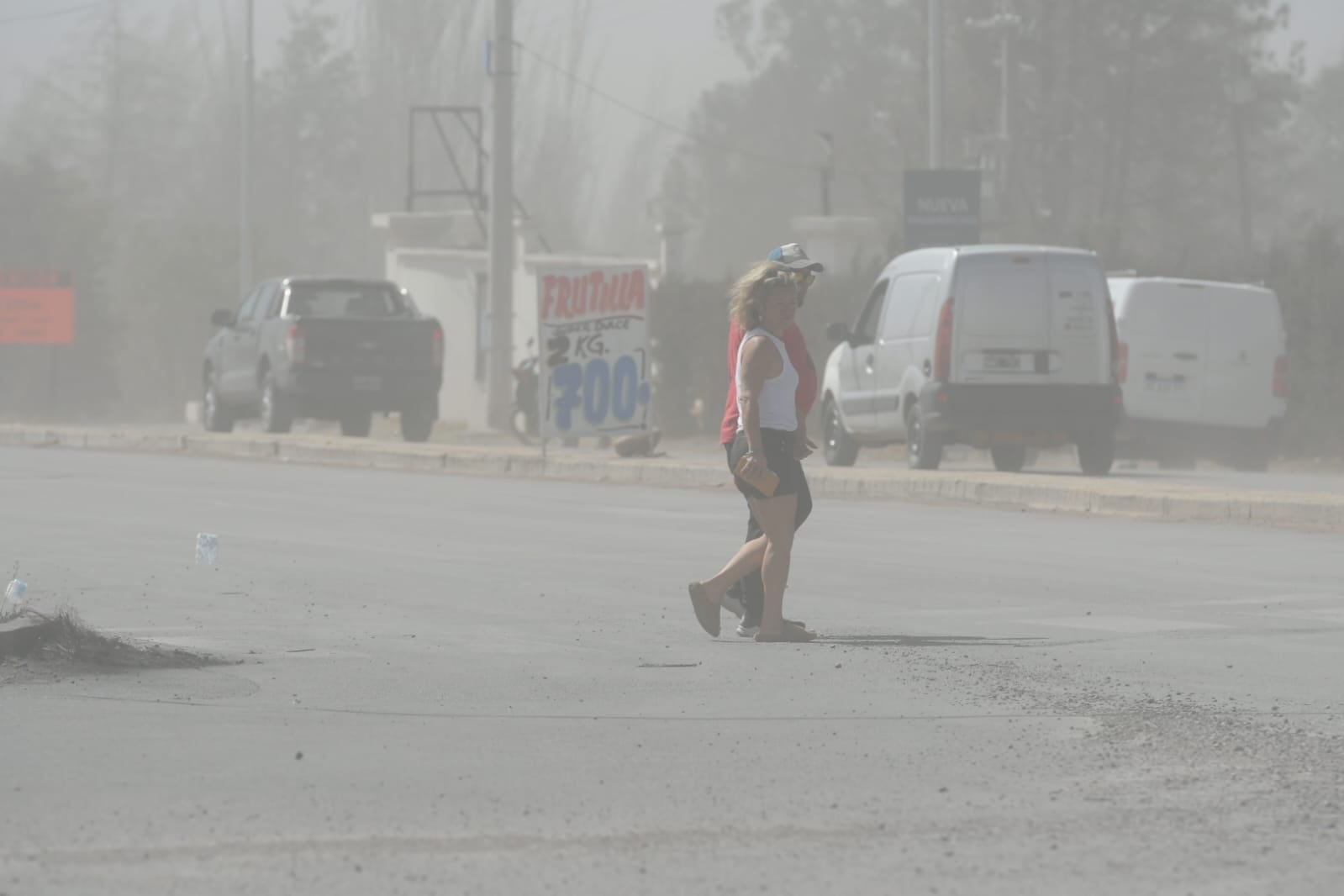 Llegó el viento Zonda a Luján de Cuyo, Mendoza - Ignacio Blanco / Los Andes