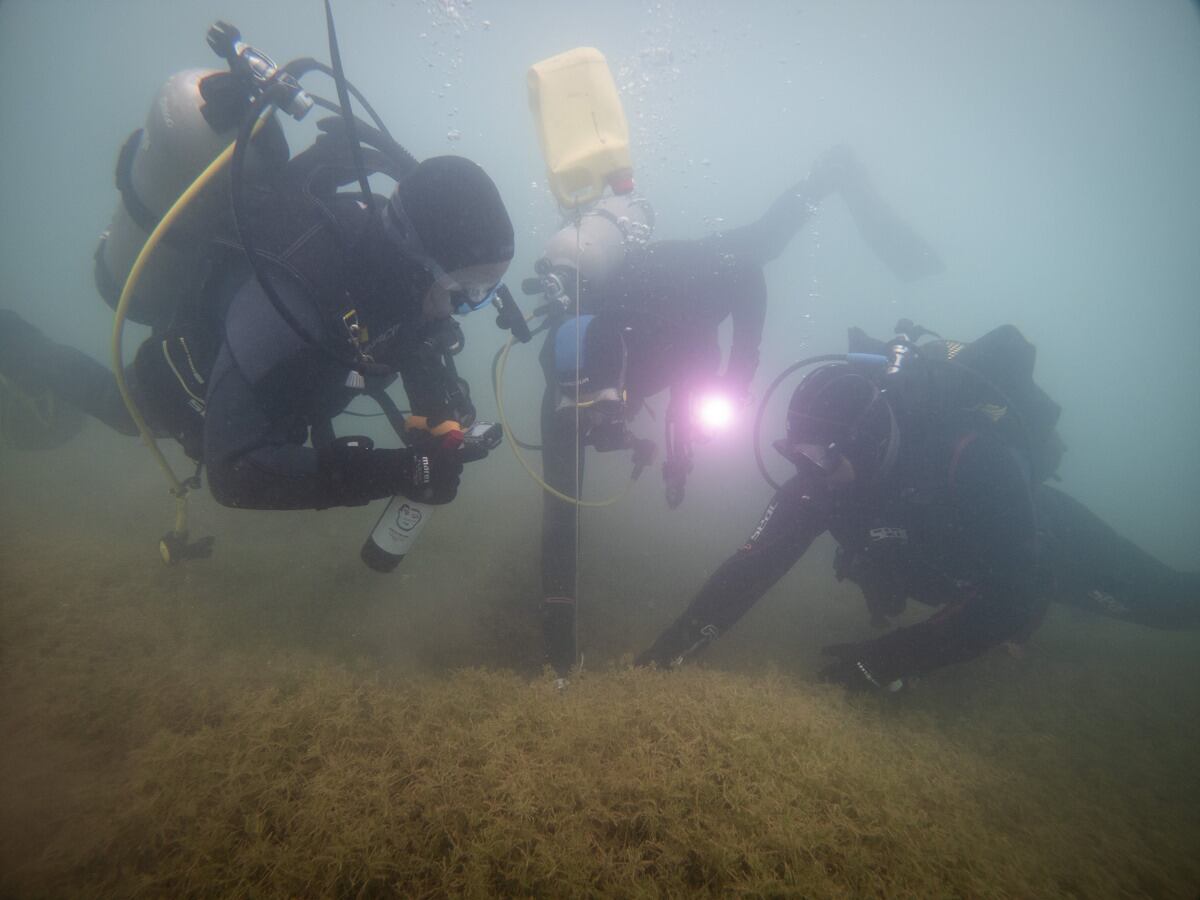 30 de octubre de 2021 Un grupo de aficionados al buceo, decidieron dejar unas botellas de vino en las profundidades del dique Potrerillos y testear su evolución en unos meses. Foto: Ignacio Blanco / Los Andes