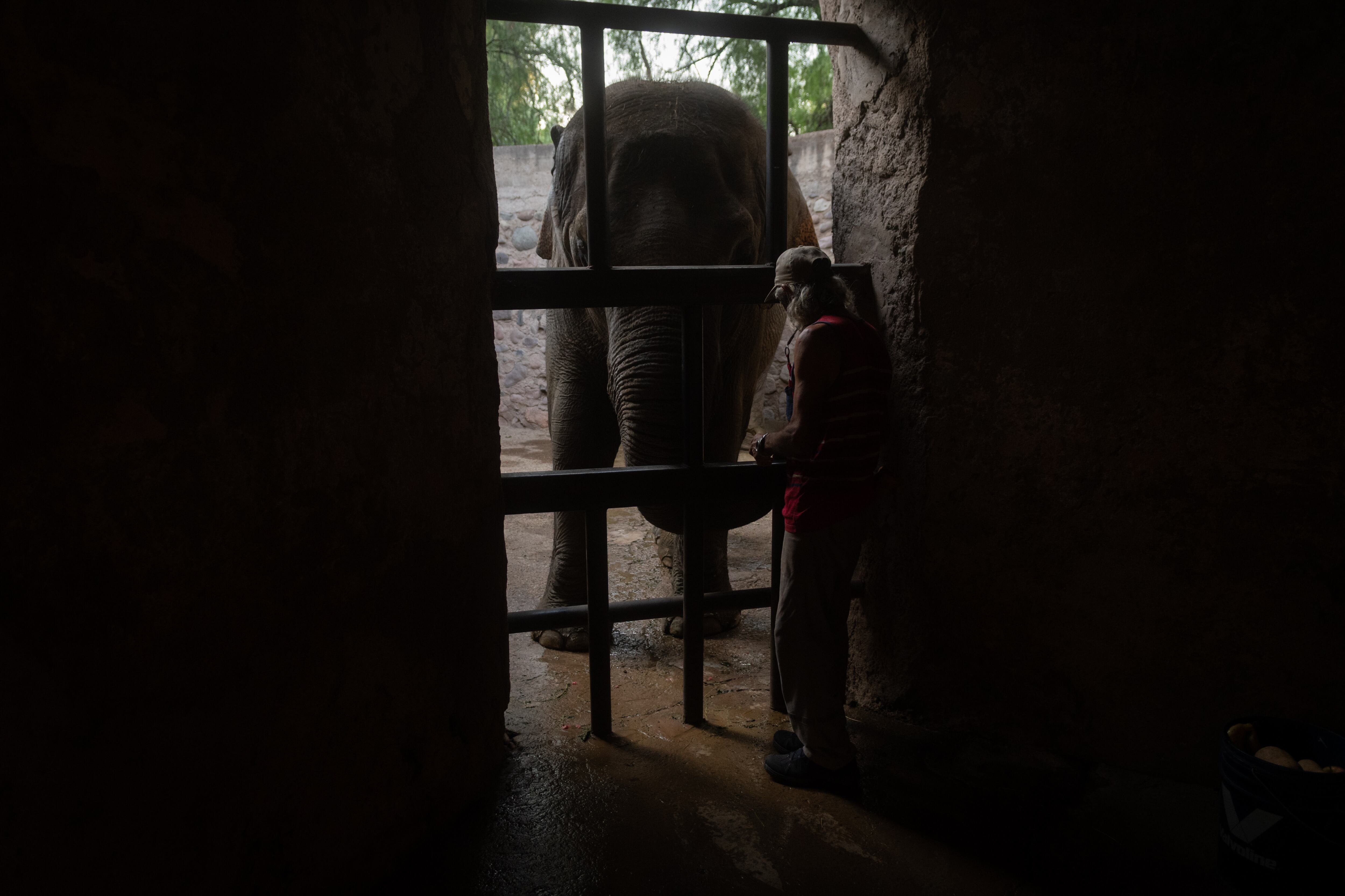 Los recintos tienen poco entrada de luz natural, solo se resguardan ahí para pasar la noche.