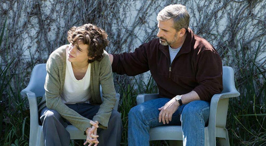 Escena de "Beautiful Boy: Siempre serás mi hijo". (Web)