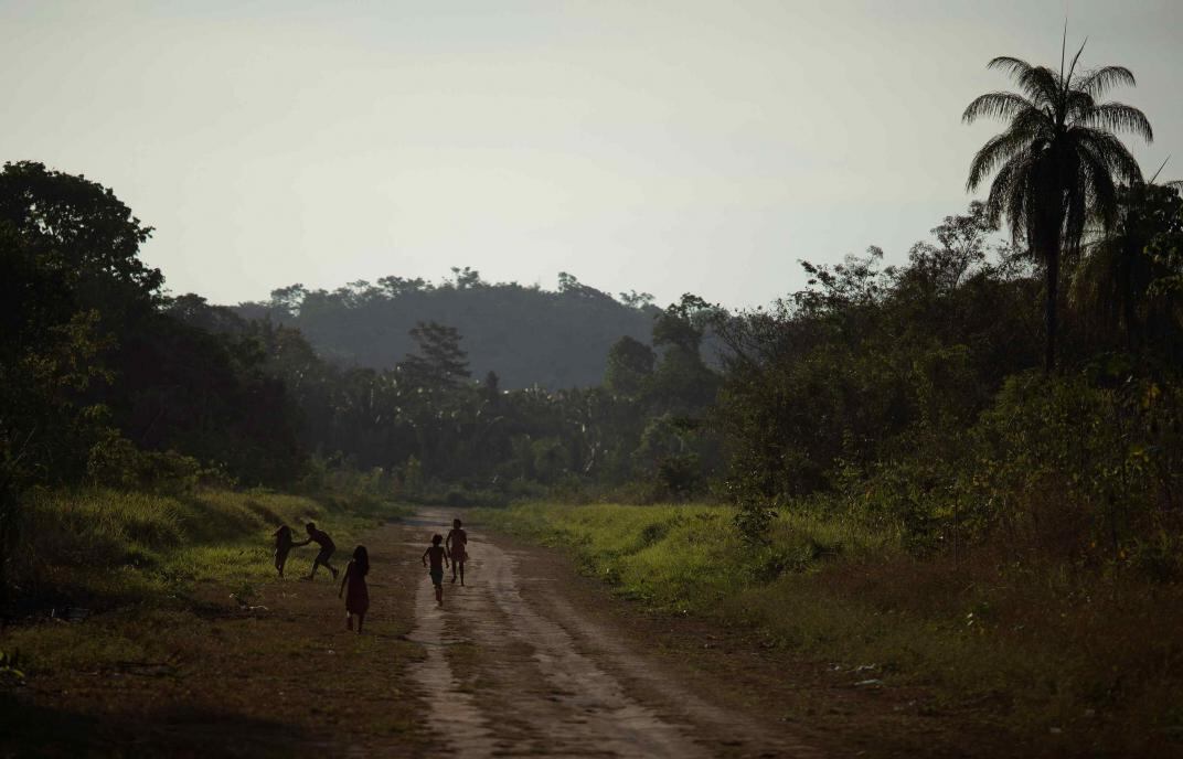 Forestación, una acción clave para cuidar el medio ambiente. 