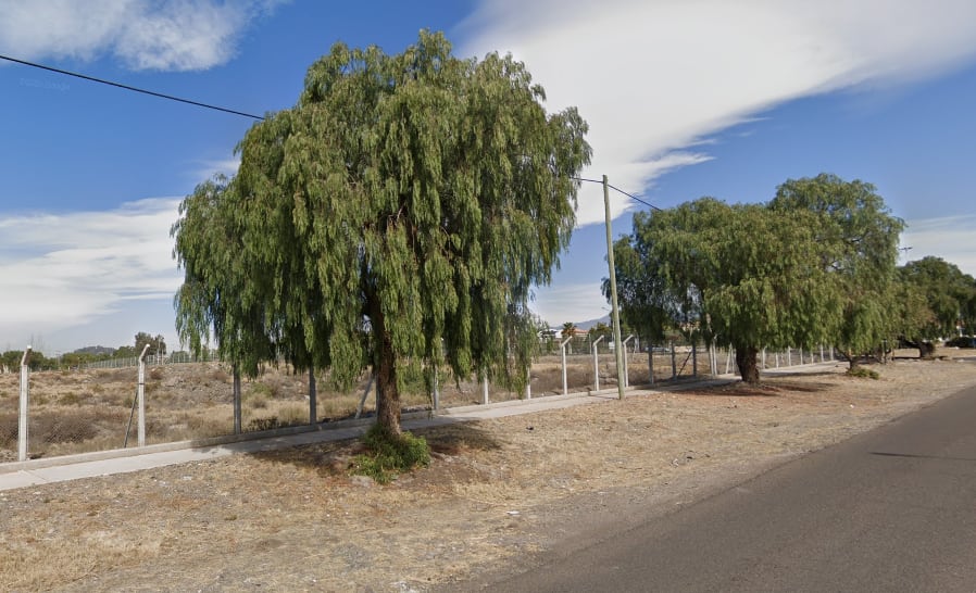 Así se veía la zona antes de la tala, según se puede revivir en Google Maps. Foto: Google Maps.