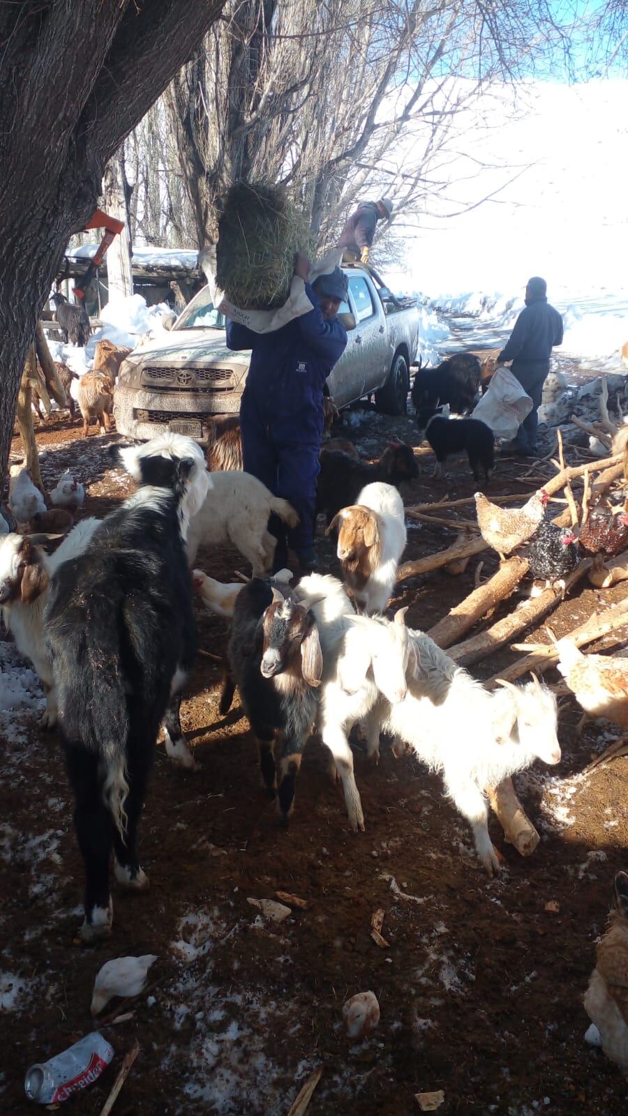 Guardaparques asistieron a familias aisladas por la nieve en el Sur. Foto: Dirección de Recusos Naturales Renovables.