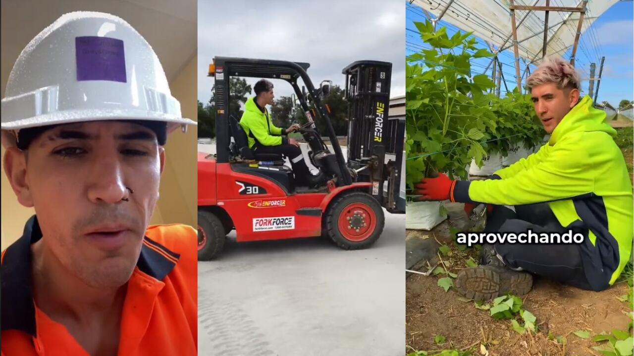 Según el argentino no hay que tener "miedo" de "quedarse sin trabajo porque en Australia hay muchísima oferta laboral". Foto: Captura video