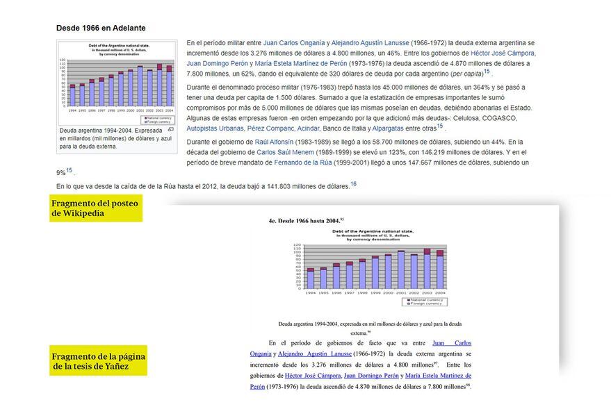 La Tesis de Yañez y las publicaciones en Wikipedia. Gentileza /La Nación.