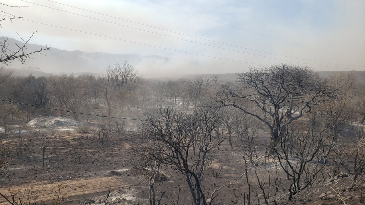 La situación en Córdoba: más de 43 mil hectáreas consumidas por el fuego.