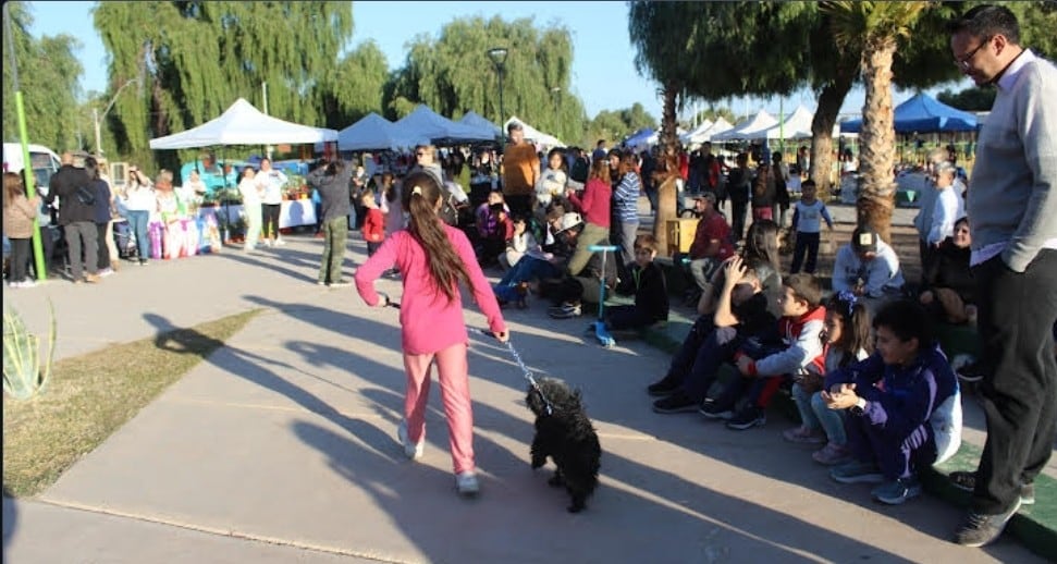 Para los amantes de los perros y su cuidado se viene la 2° Feria de Mascotas en Mendoza