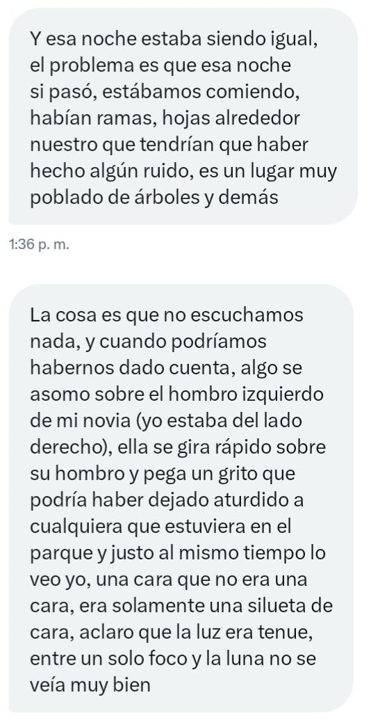 El relato que el joven mendocino le envió al periodista sobre su experiencia paranormal en el parque San Martín.